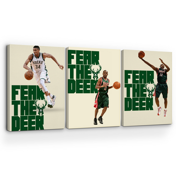 ANTETOKOUNMPO/ BUCKS WALL CANVAS