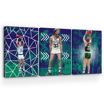 BIRD/ CELTICS WALL CANVAS