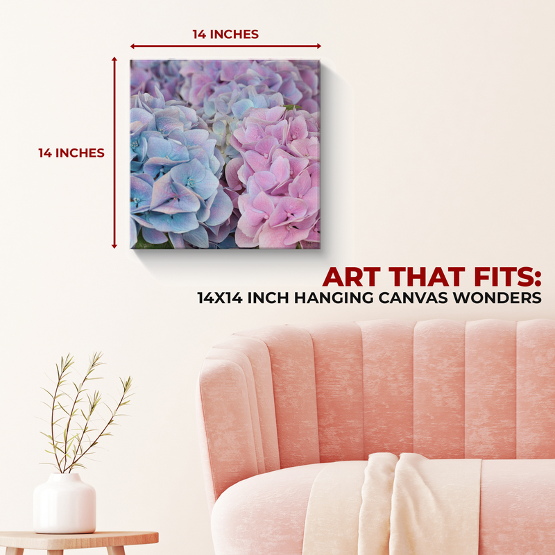 HYDRANGEA CANVAS