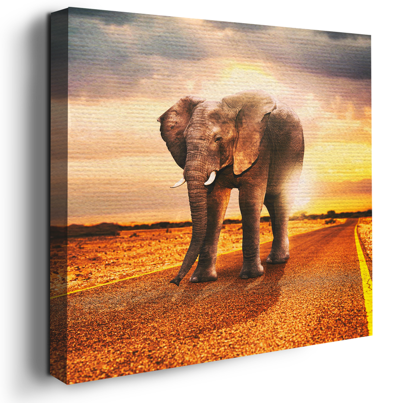 ELEPHANT DECOR CANVAS