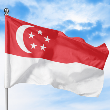 SINGAPORE FLAG