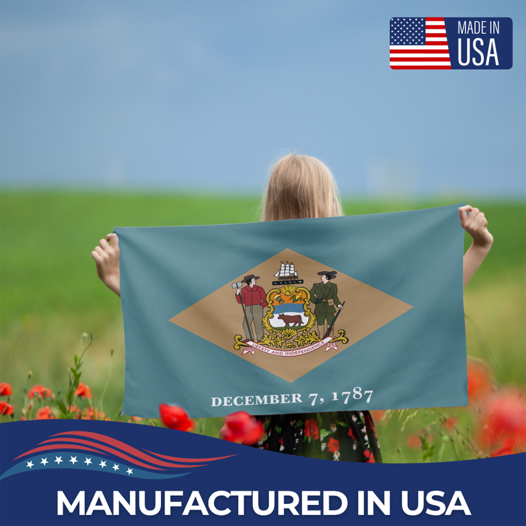 DELAWARE STATE FLAG
