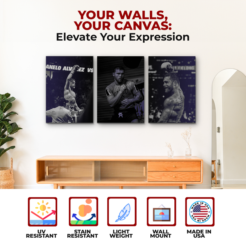 CANELO ALVAREZ WALL CANVAS