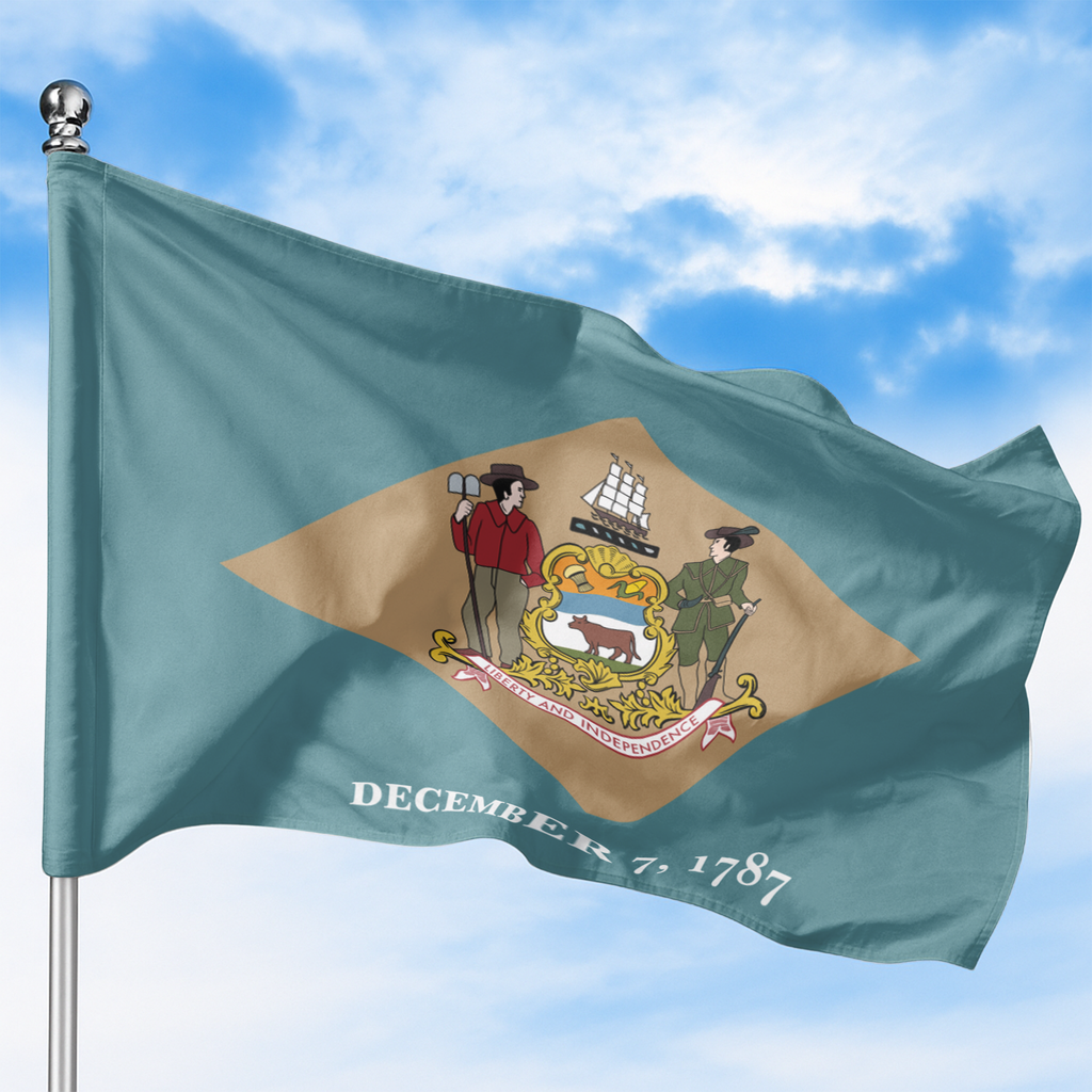 DELAWARE STATE FLAG