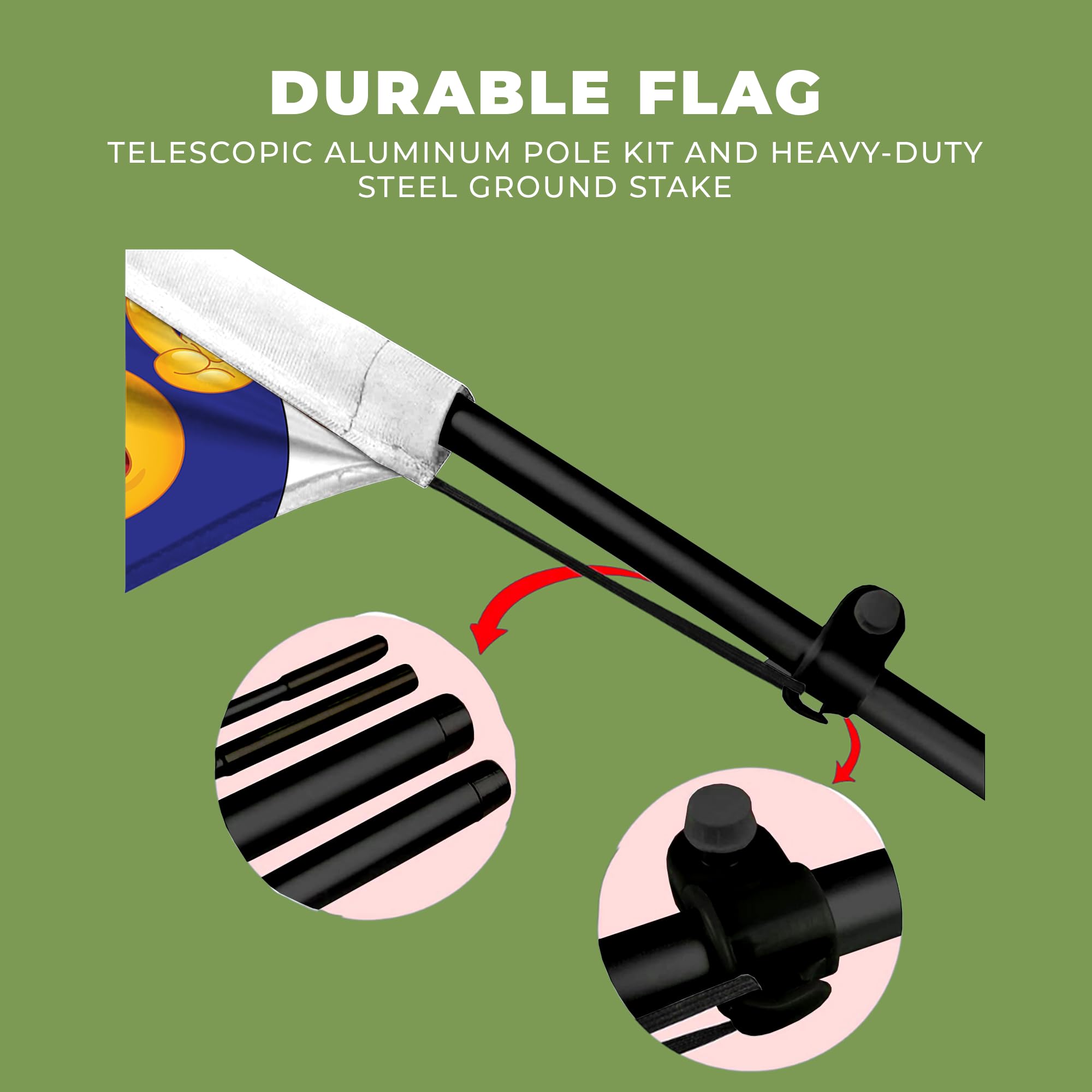LOOK HERE FEATHER FLAG
