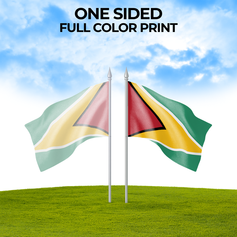 GUYANA FLAG