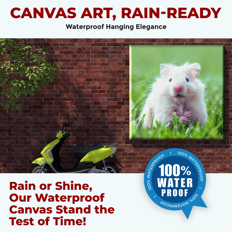 HAMSTER DECOR CANVAS