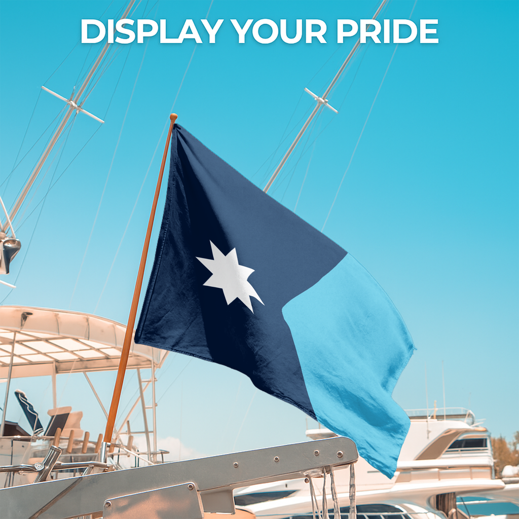 MINNESOTA STATE FLAG