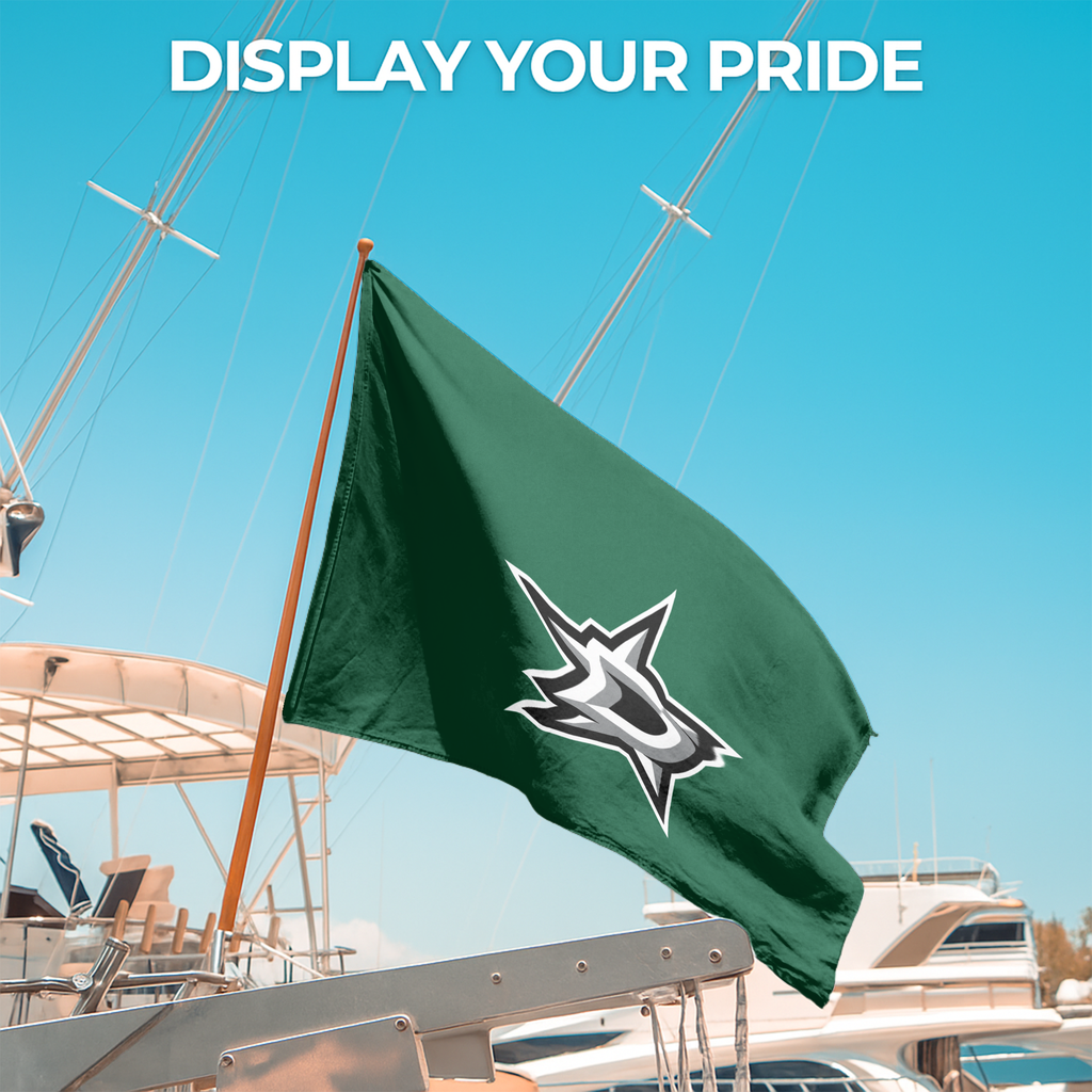 DALLAS STARS FLAG