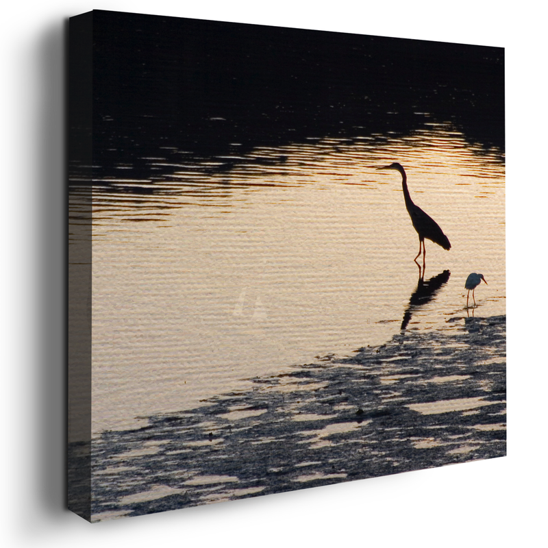 ESTUARY WALL CANVAS DECOR