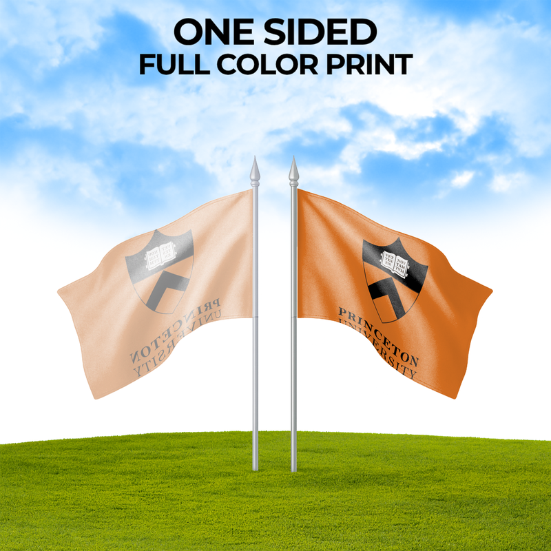 PRINCETON UNIVERSITY FLAG