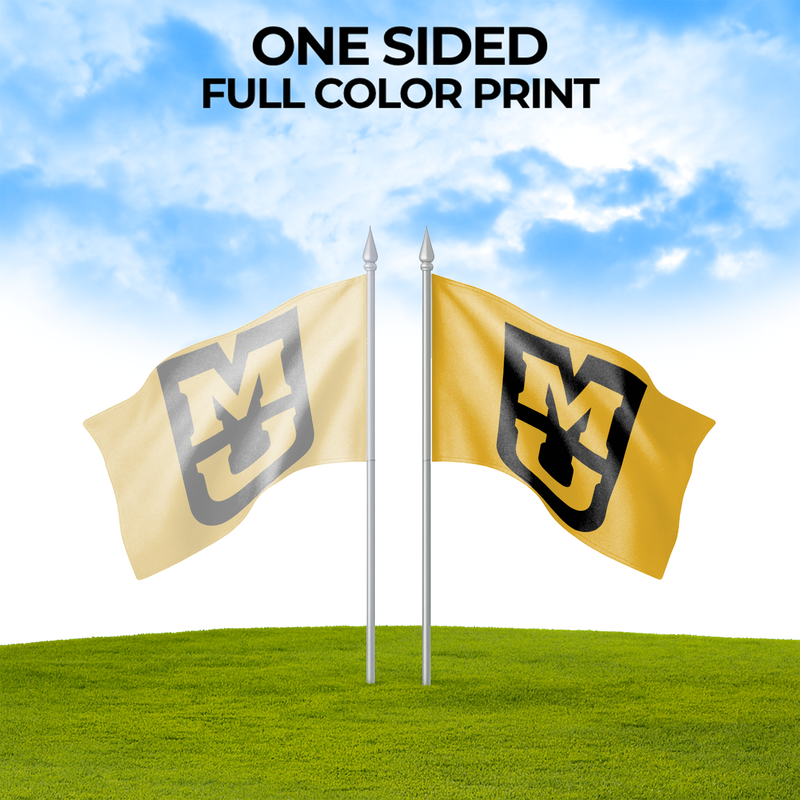 MISSOURI UNIVERSITY FLAG