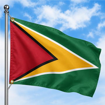 GUYANA FLAG