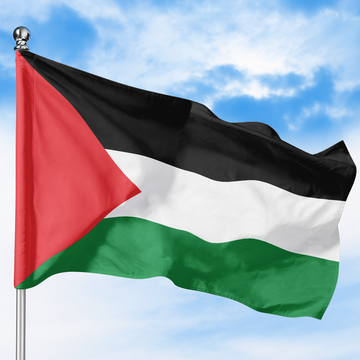 PALESTINE FLAG
