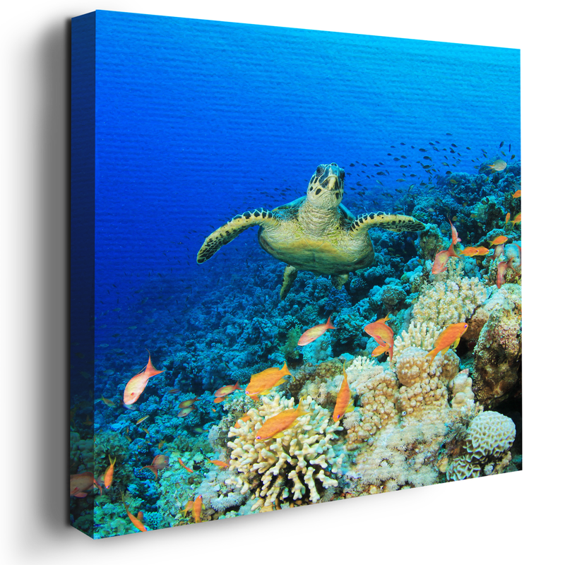 CORAL REEF WALL CANVAS DECOR