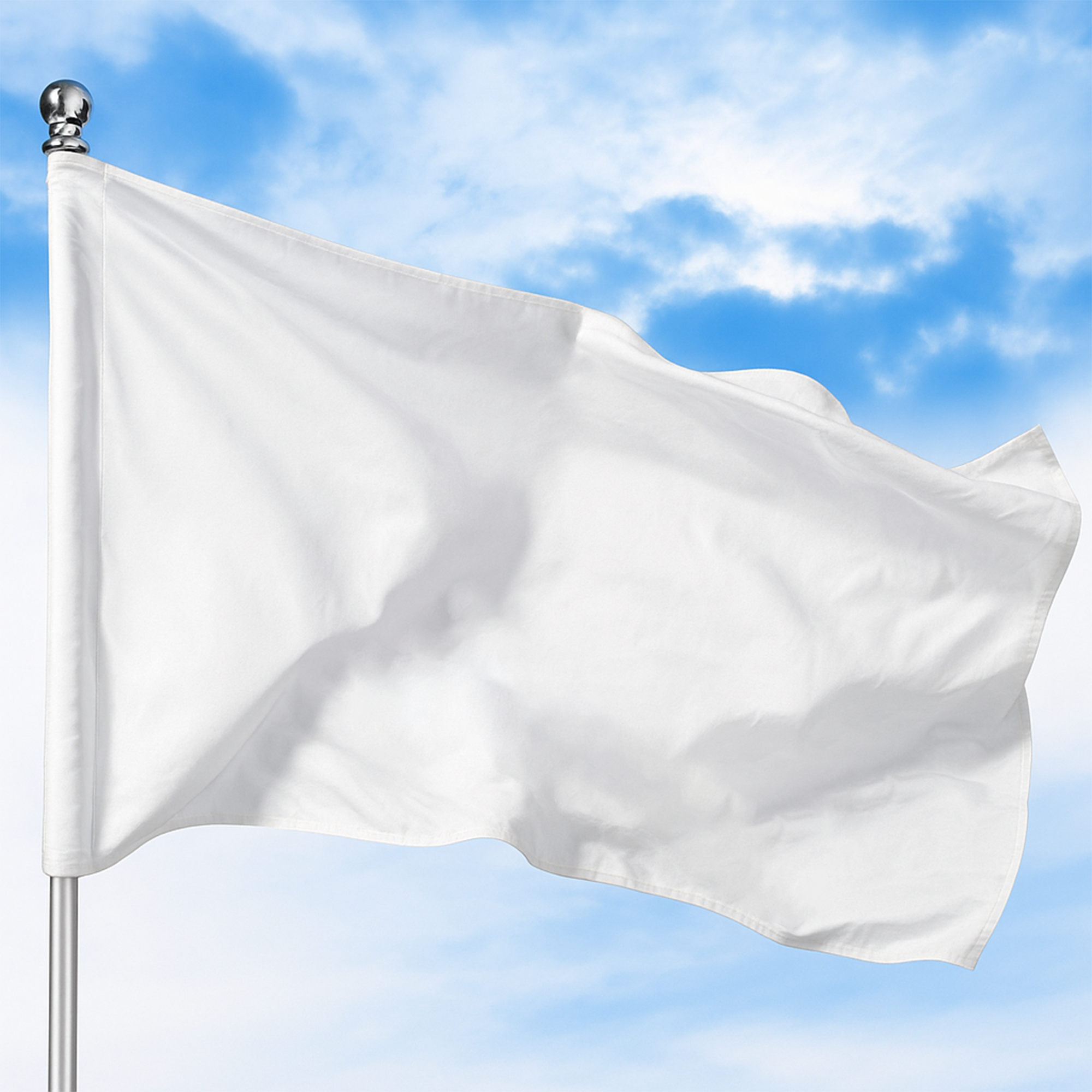 CUSTOM FLAG