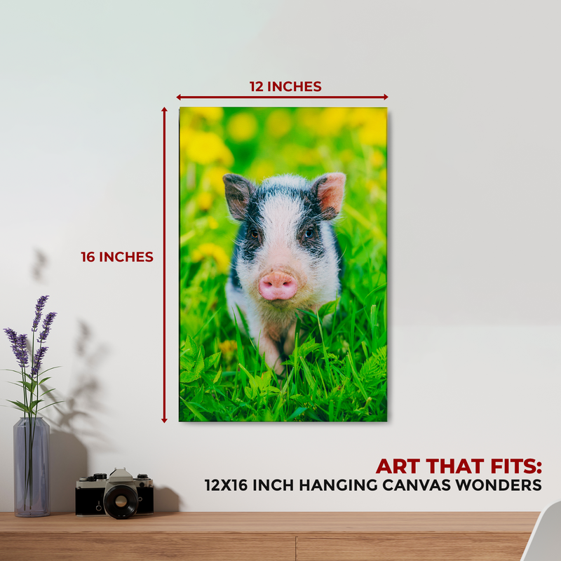 MINI PIG DECOR CANVAS