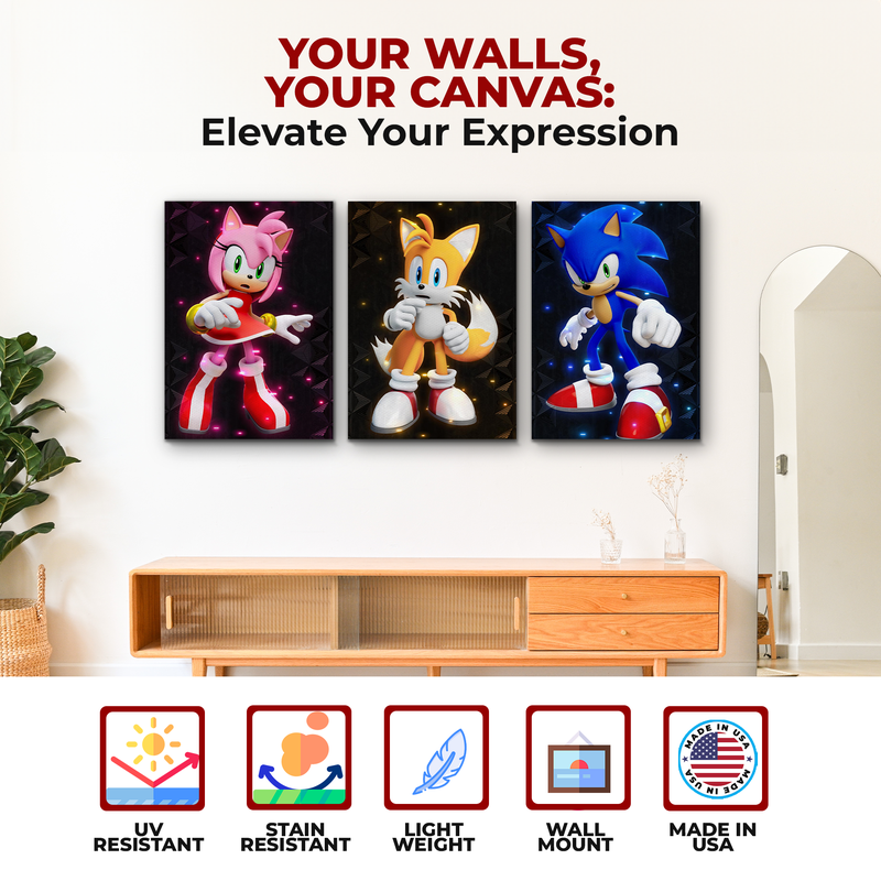 SONIC & FRIENDS CANVAS DECOR
