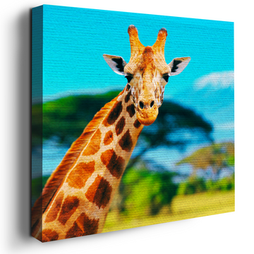 GIRAFFE DECOR CANVAS