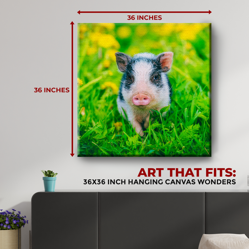 MINI PIG DECOR CANVAS