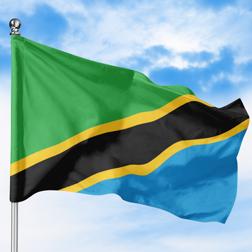 TANZANIA FLAG