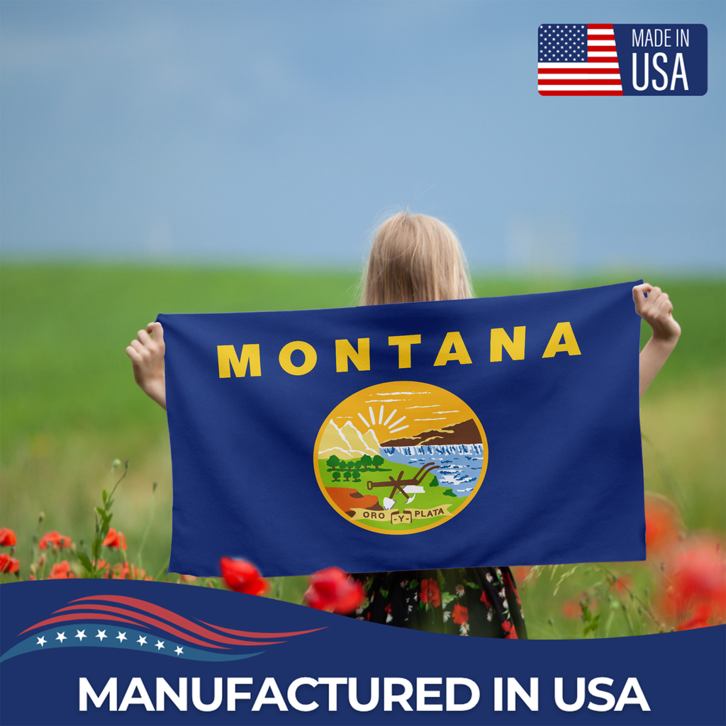 MONTANA STATE FLAG