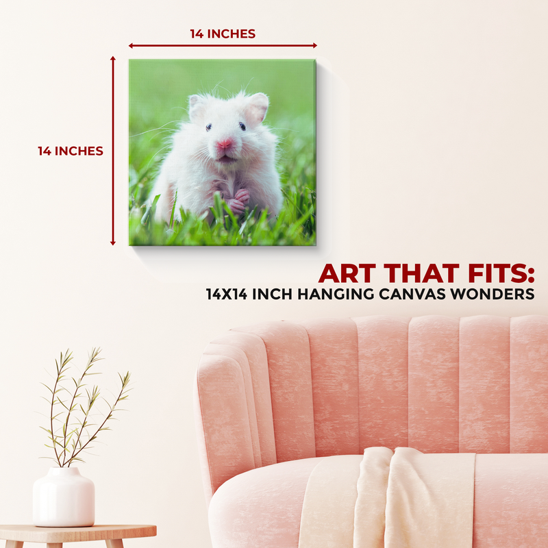 HAMSTER DECOR CANVAS