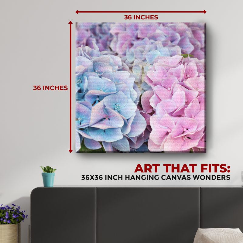 HYDRANGEA CANVAS