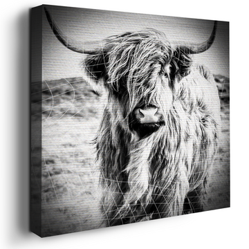 HIGHLAND COW CANVAS DECOR