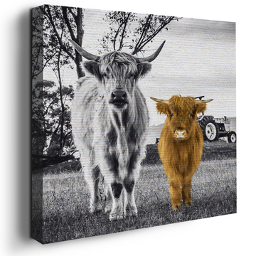 HIGHLAND COW AND CALF DECOR CANVAS