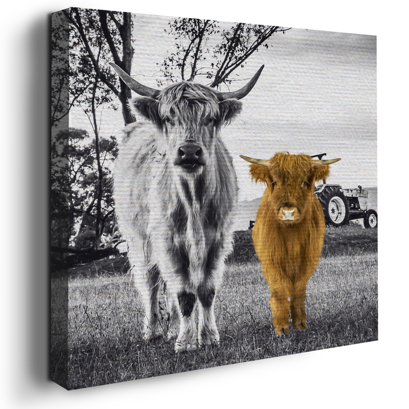 HIGHLAND COW AND CALF DECOR CANVAS