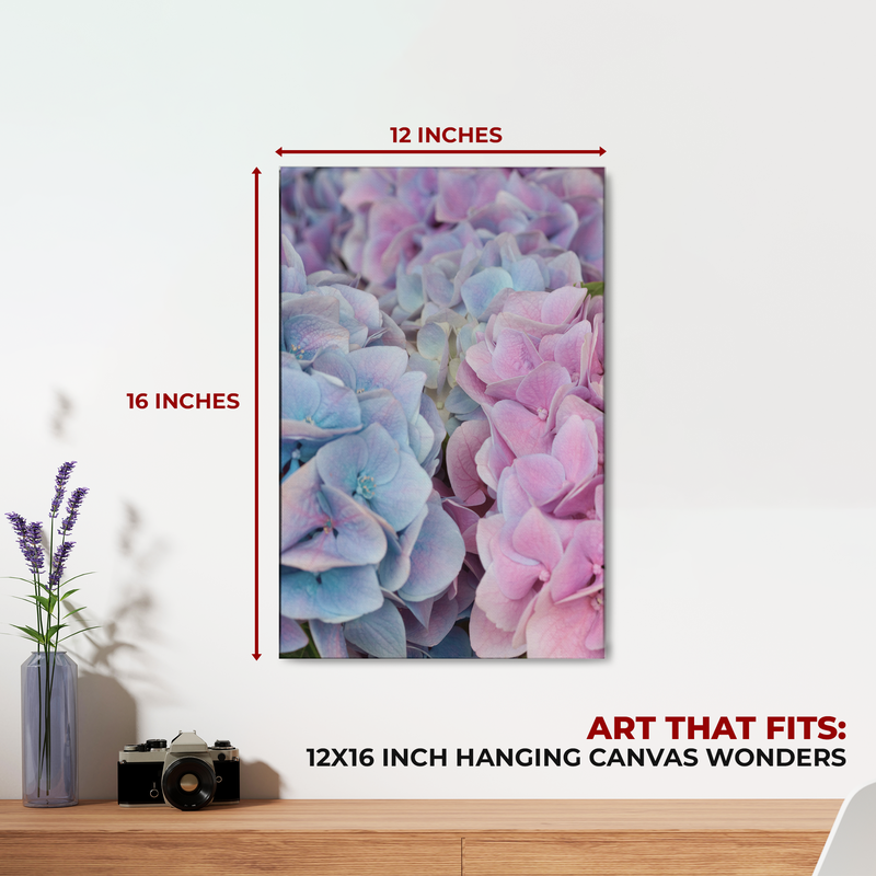 HYDRANGEA CANVAS