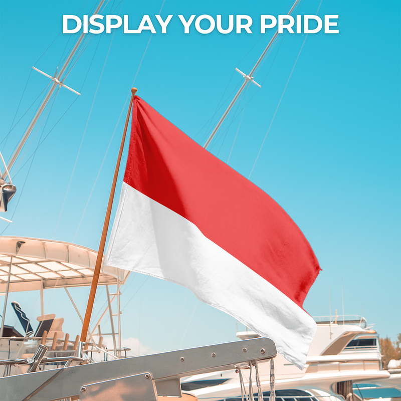 INDONESIA FLAG
