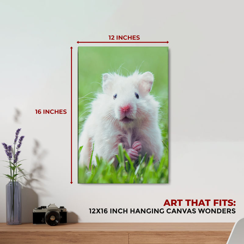 HAMSTER DECOR CANVAS
