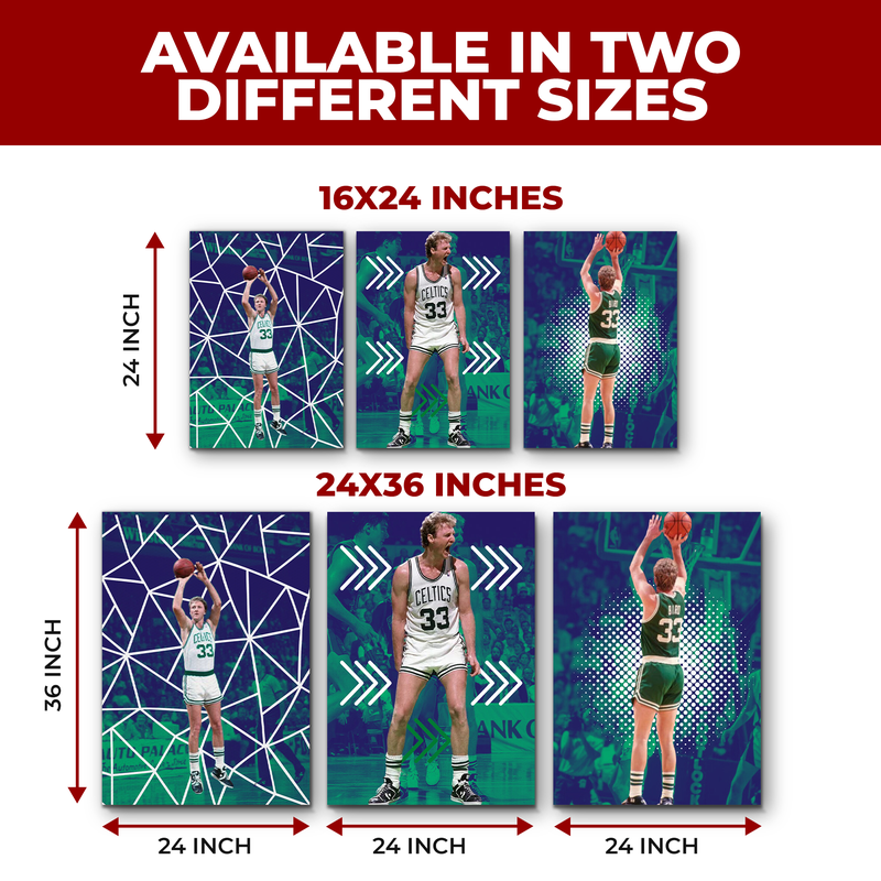 BIRD/ CELTICS WALL CANVAS