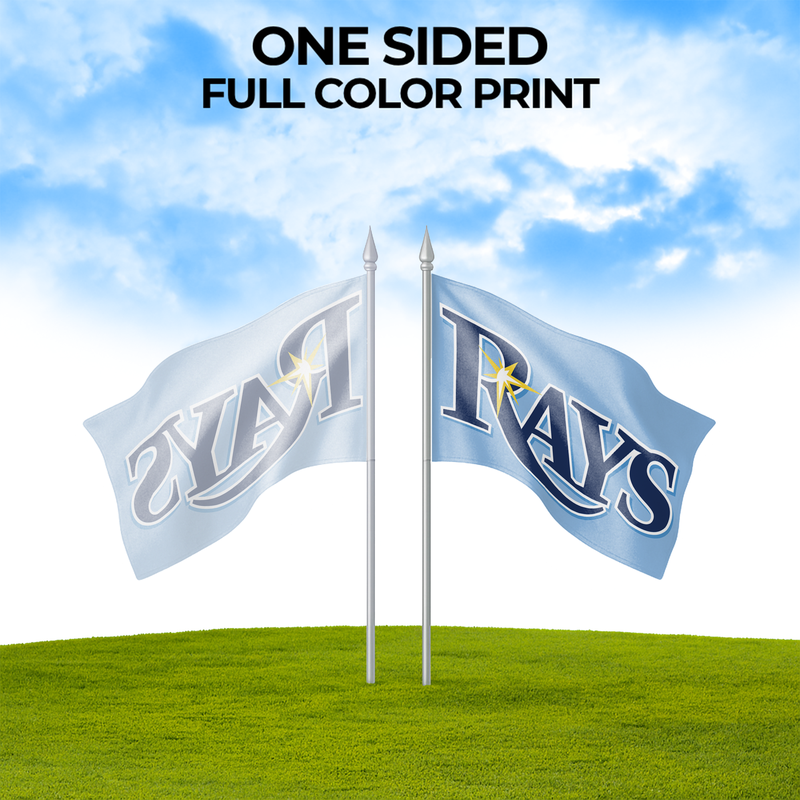 TAMPA BAY RAYS FLAG