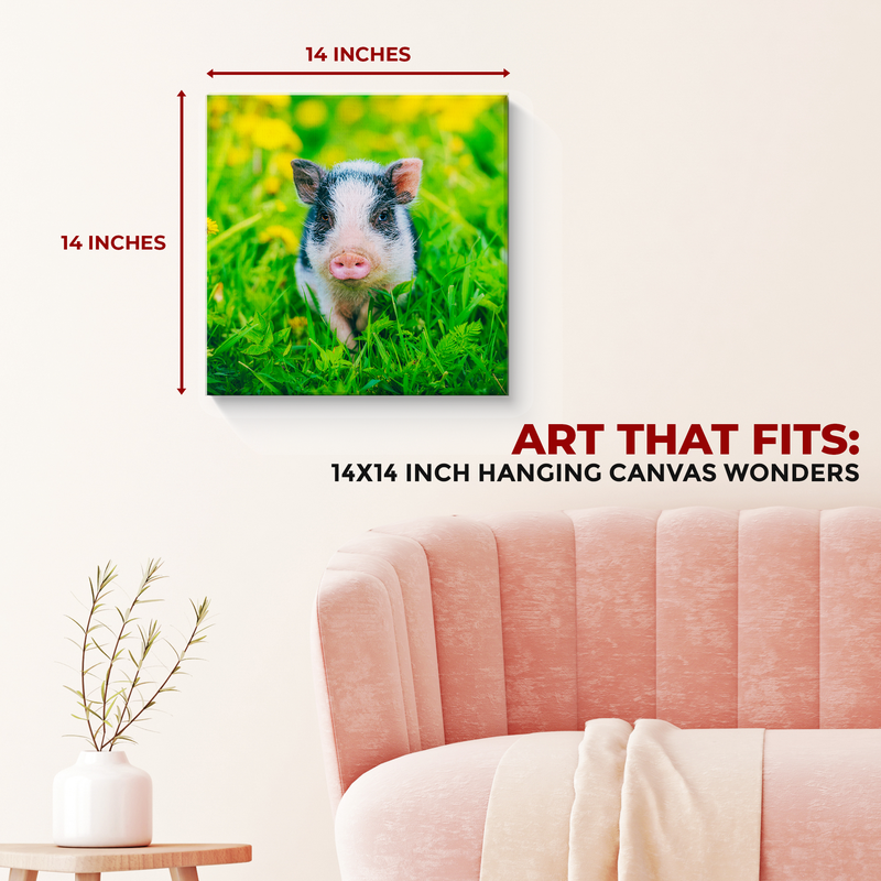 MINI PIG DECOR CANVAS