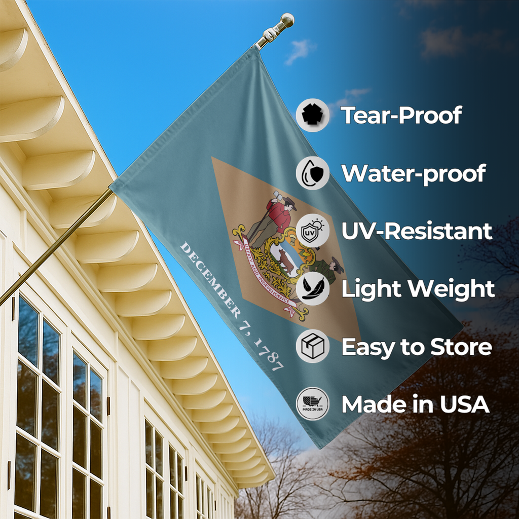DELAWARE STATE FLAG
