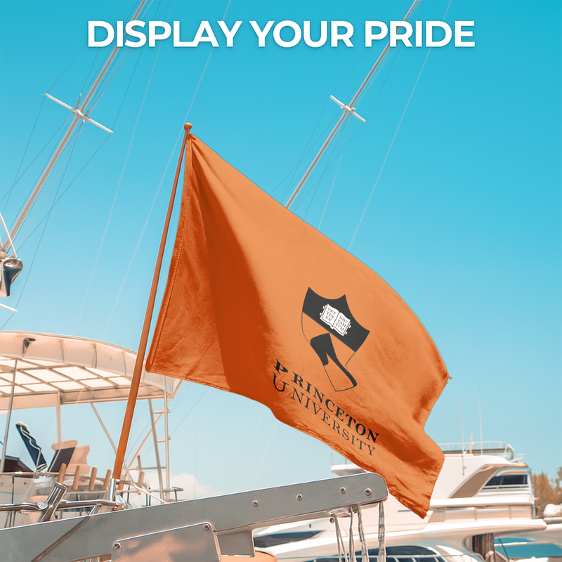 PRINCETON UNIVERSITY FLAG