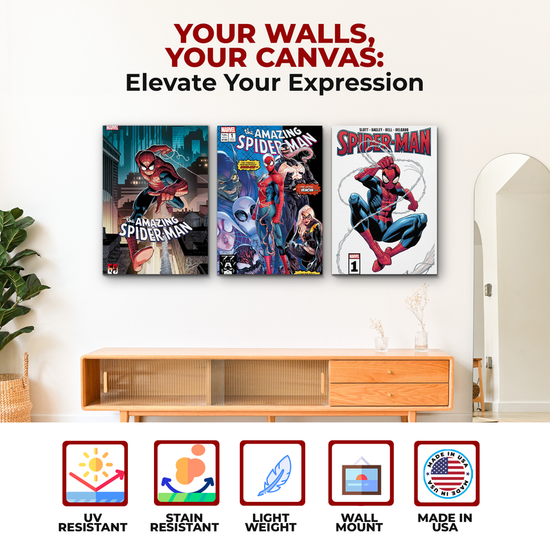 SPIDERMAN COMICS CANVAS DECOR