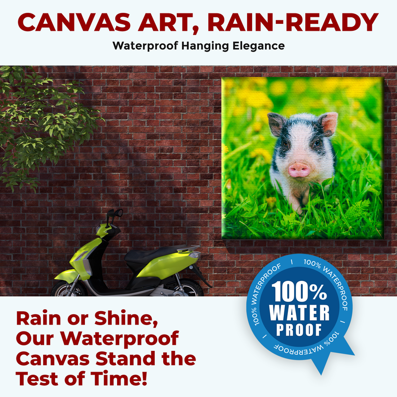 MINI PIG DECOR CANVAS