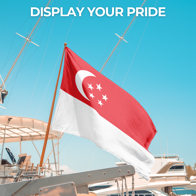 SINGAPORE FLAG