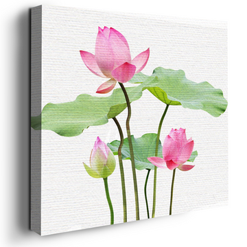 LOTUS FLOWER CANVAS