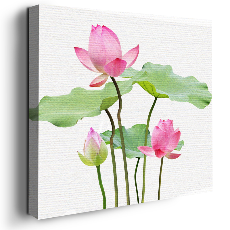 LOTUS FLOWER CANVAS