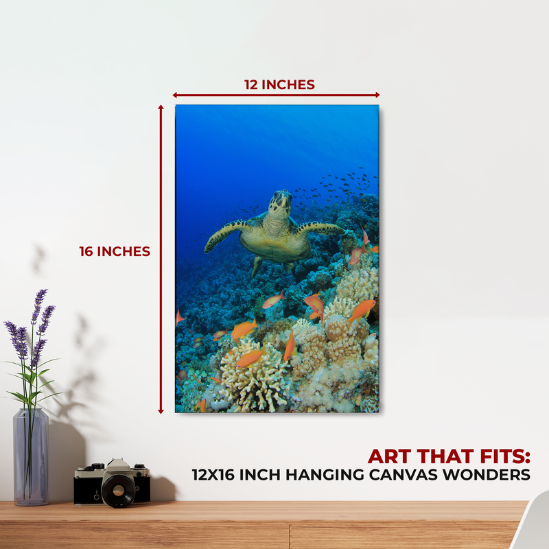 CORAL REEF WALL CANVAS DECOR