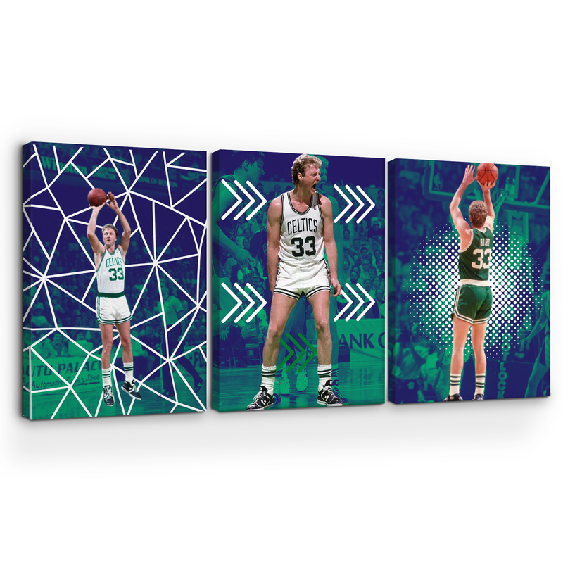 BIRD/ CELTICS WALL CANVAS