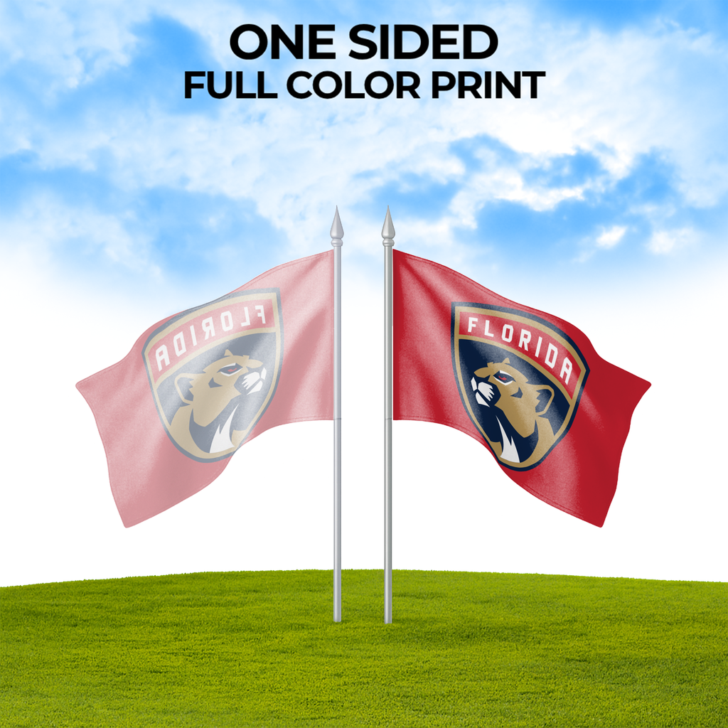 FLORIDA PANTHERS FLAG