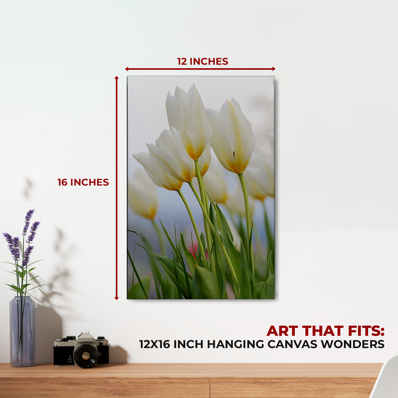 WHITE GRAY FLOWER CANVAS