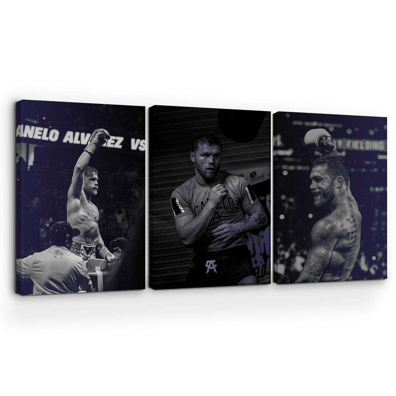 CANELO ALVAREZ WALL CANVAS