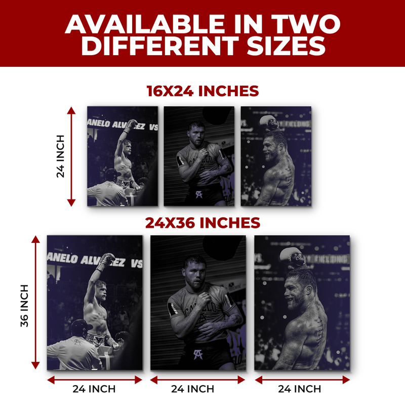 CANELO ALVAREZ WALL CANVAS